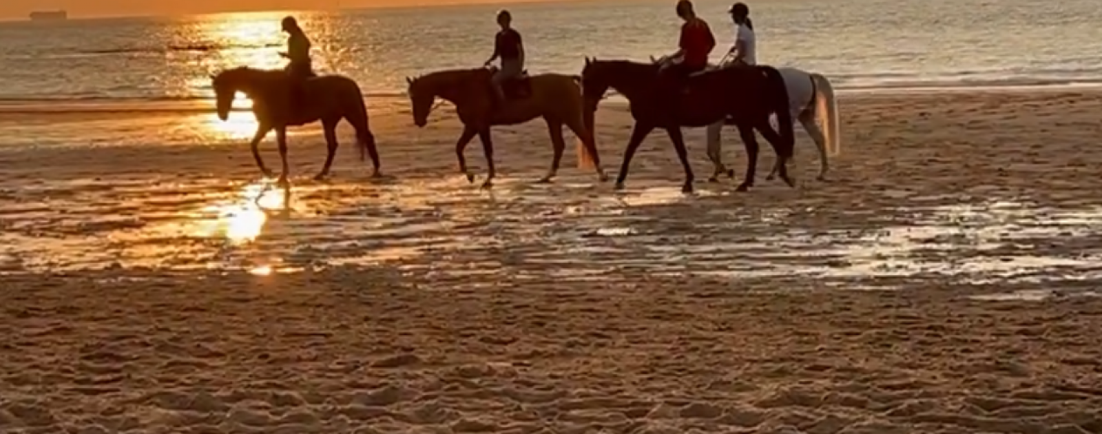 Wandelkamp 'naar zee met je pony/paard' 25 aug tem 26 aug 2025 - Pensionklanten 120 Euro