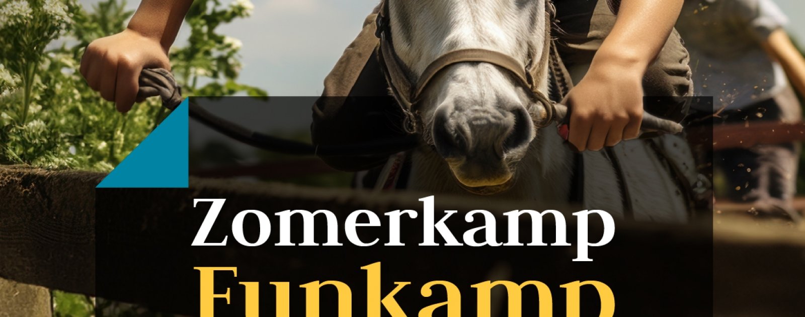 Zomerkamp 3 Funkamp - (14 - 17 juli) Inclusief huur pony/paard 220 Euro