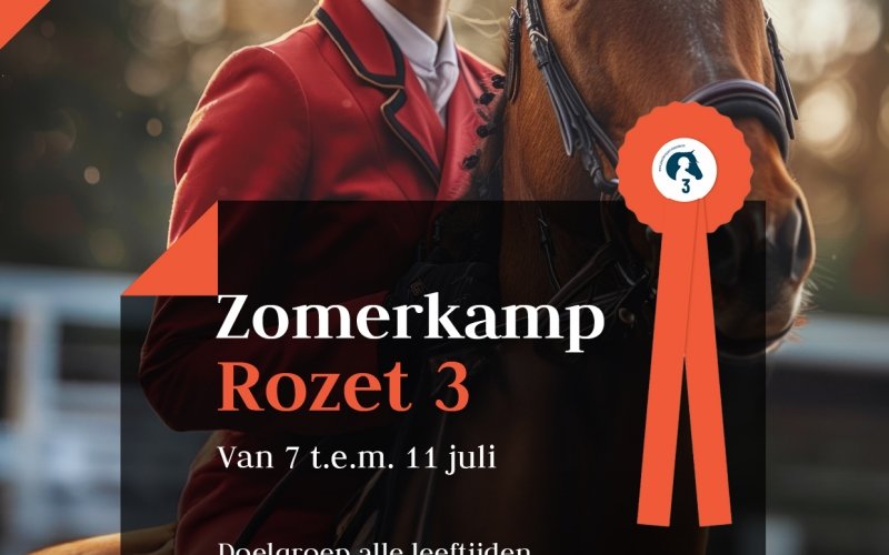 Zomerkamp 2 Rozet 3 - 7 juli tem 11 juli 2025 - Inclusief huur pony/paard 380 Euro